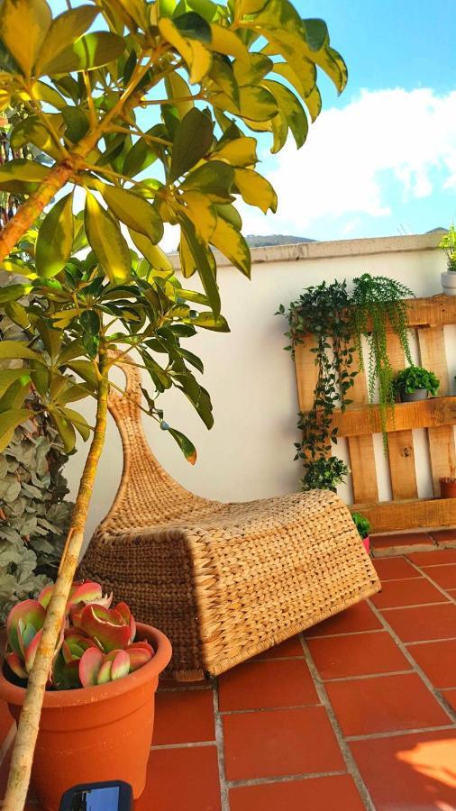 Апартаменти Atico En El Corazon De Santa Cruz/ Cozy Penthouse Екстер'єр фото
